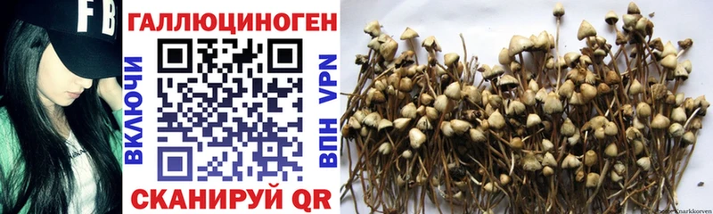 Псилоцибиновые грибы Magic Shrooms  shop формула  Торжок 
